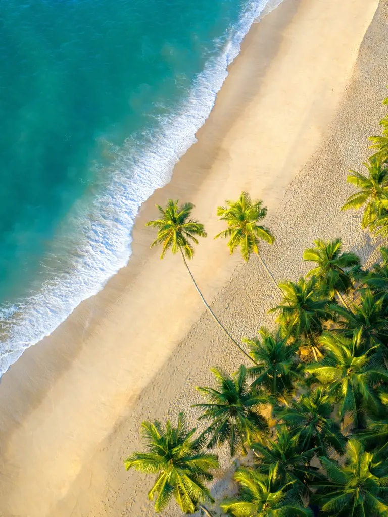 Sri Lanka – Elefanten, Natur, Kulturschätze und tropische Strände